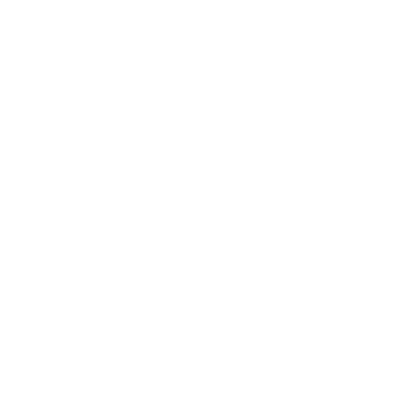 Security Shield Overlay